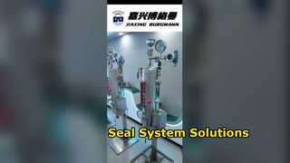 Hệ thống chất lỏng ngăn chặn có áp suất cho phốt cơ khí