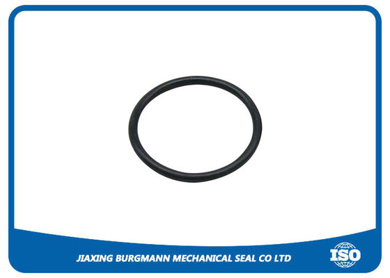 quality Kalrez O Ring Thay thế 6375 Valve Seal O Ring Kháng hóa O Ring factory